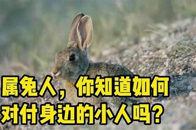 怎么对付身边的小人物