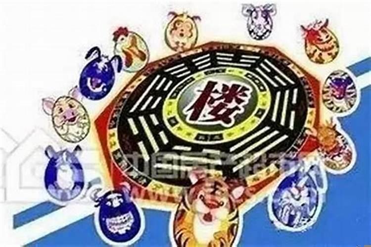 什么生肖选什么楼层最好