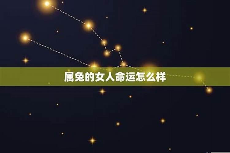 属兔b型血射手座男生