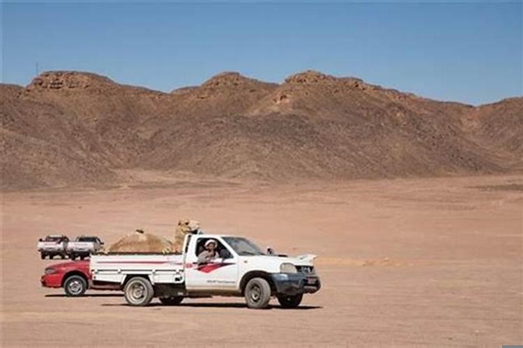 梦见自己要出远门了是什么意思