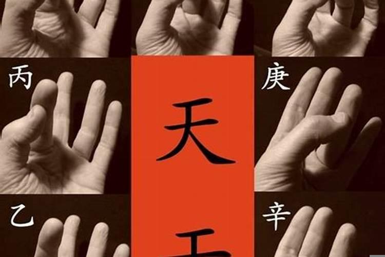 八字格局为食神格什么意思