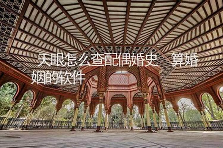 天眼查如何查婚姻登记