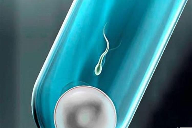 生男生女是命中注定的吗?