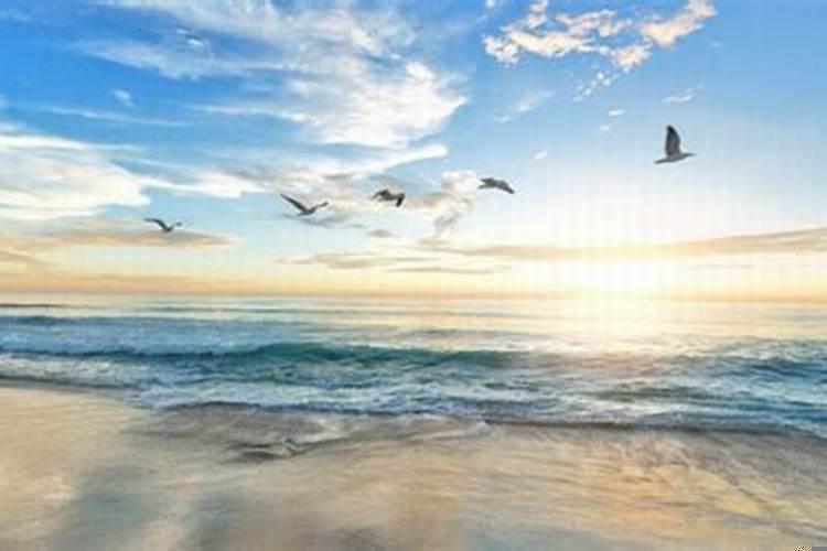 经常做梦梦到和前任复合