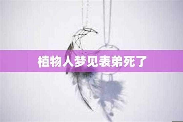 梦见死去的表弟