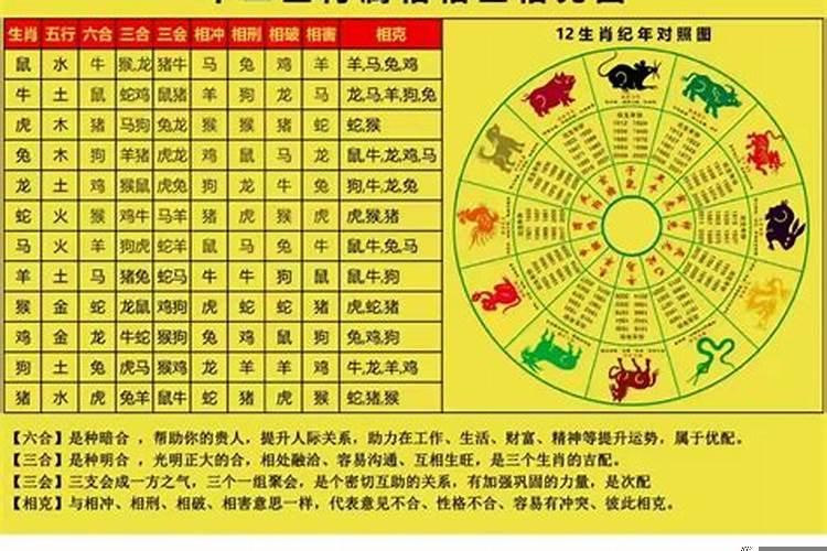 十二生肖相冲化解方法