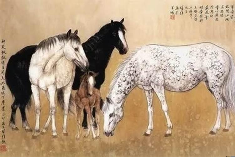 午马今年的运势