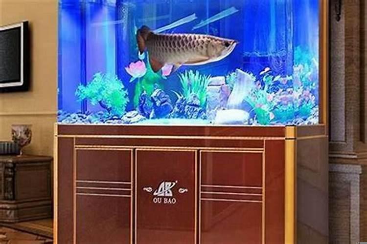 鱼缸多大尺寸合适风水