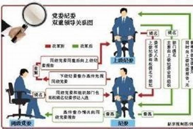 不是实行双重领导体制的有什么