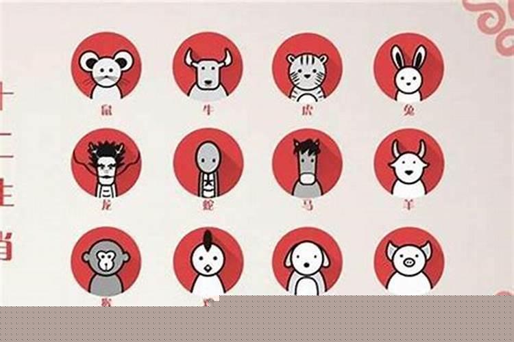 生肖猪和生肖龙婚姻相配吗