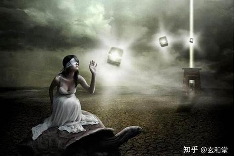 梦见辣椒树什么意思