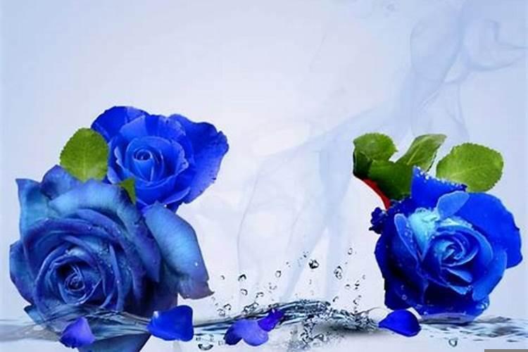 被天蝎座记仇了如何感化