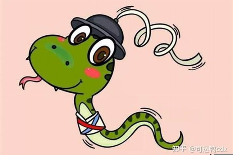 龙头蛇尾生肖是什么肖