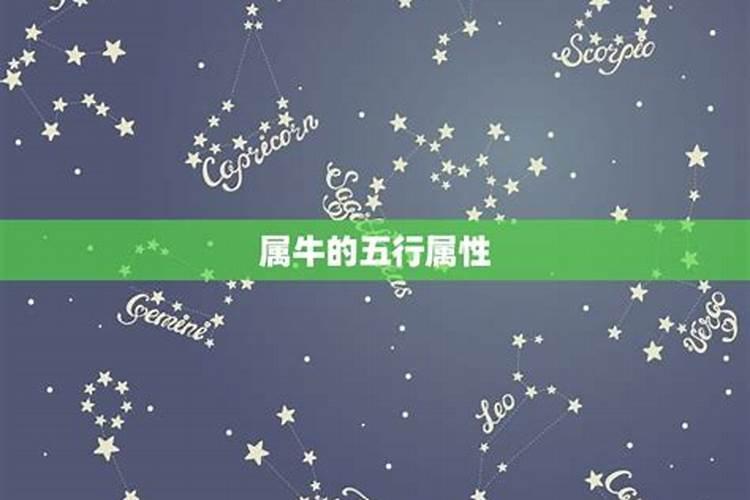 属牛的什么性格脾气