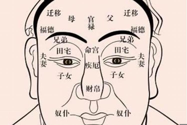 相面看手相准吗?