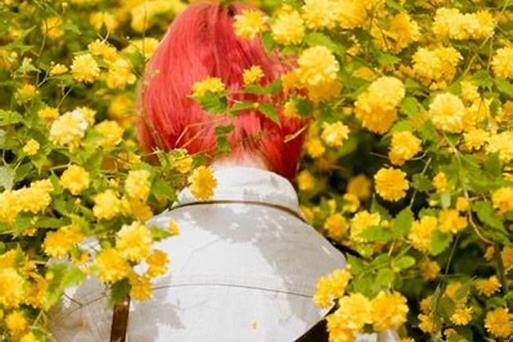 容易招惹桃花的女人