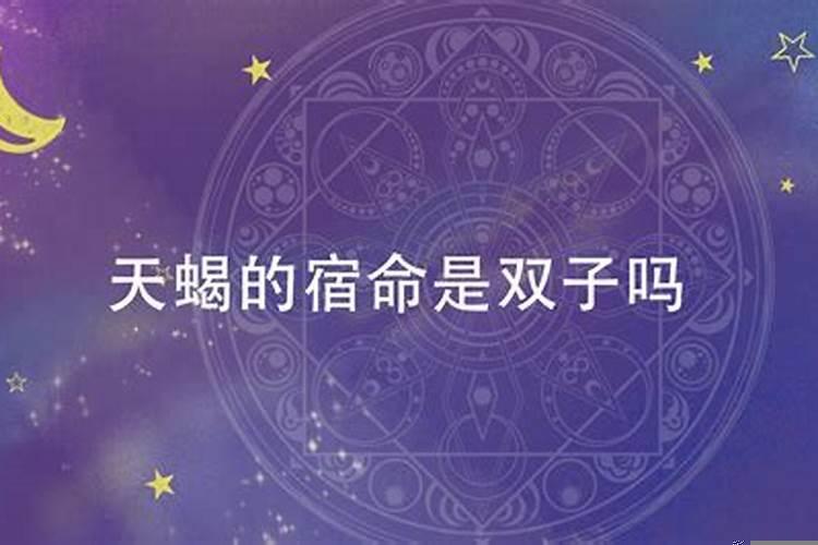 天蝎座最终归宿