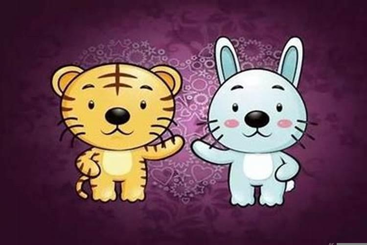 男兔女虎相配吗婚姻