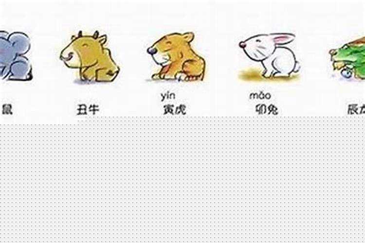 属兔男和属兔相配吗