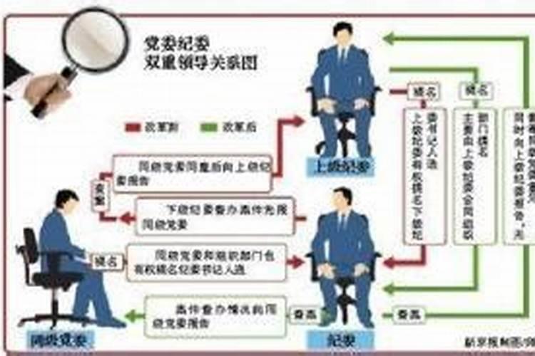 不是实行双重领导体制的有什么