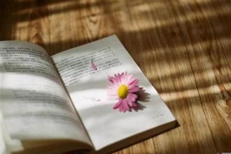 活得太通透会不会很累