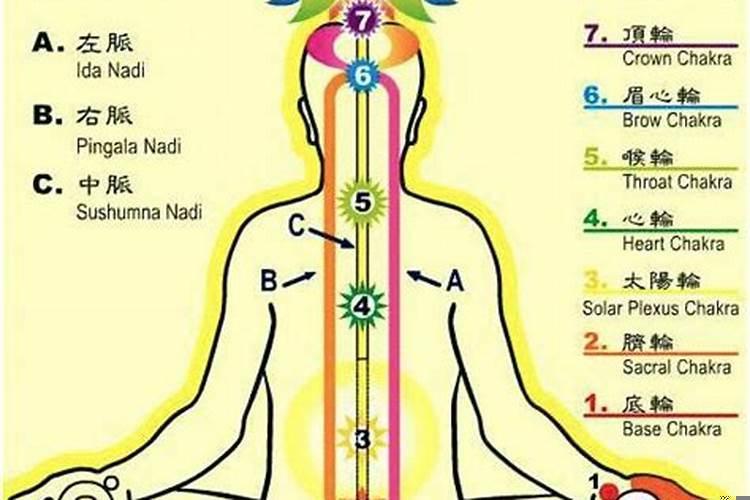 瑜伽中的7个脉轮分别是什么