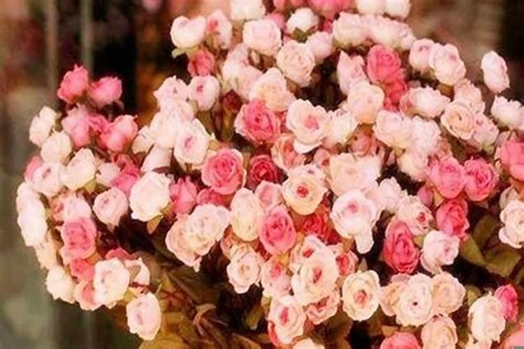 旺财旺运旺桃花