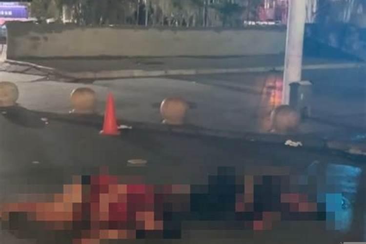 梦见猫被我打出血