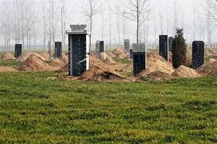 在耕地里埋坟违反土地法
