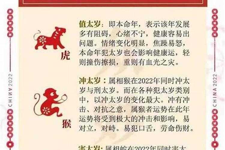 十二生肖谁是小人得志