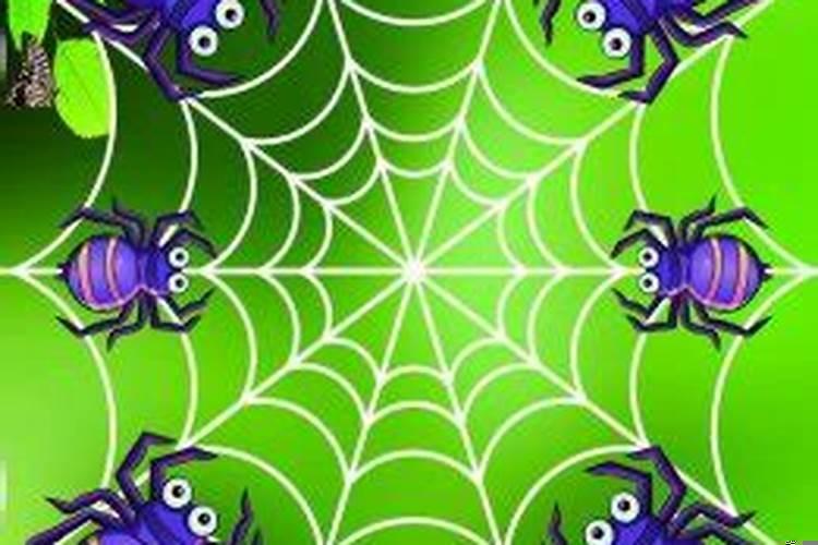 梦见好多蜘蛛是什么意思