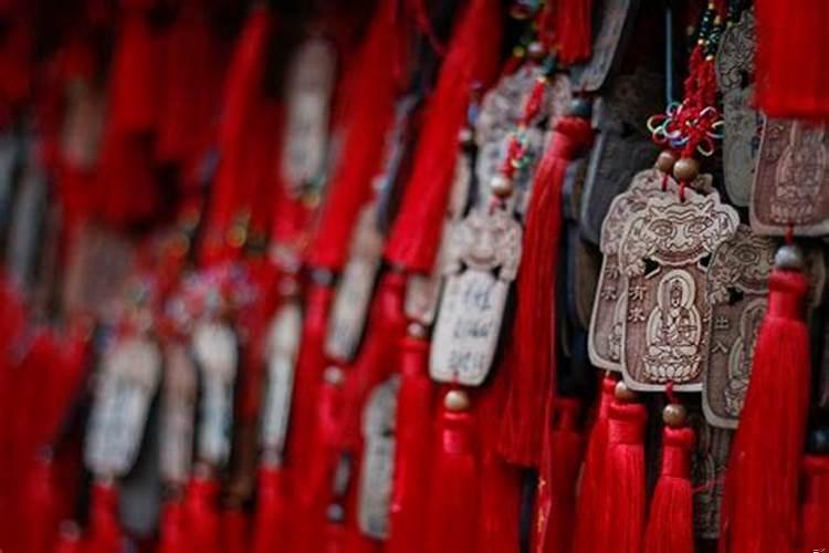 女龙和男鼠的属相合不合