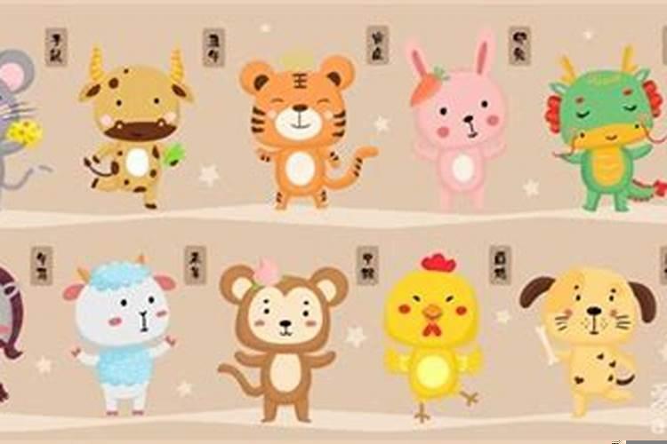 12生肖住几楼最旺这个可信吗