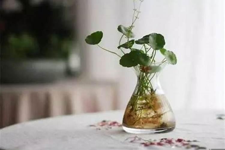 用家里常见的东西做小装饰