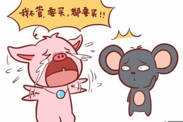 属猪的男孩子和属鼠的女孩子