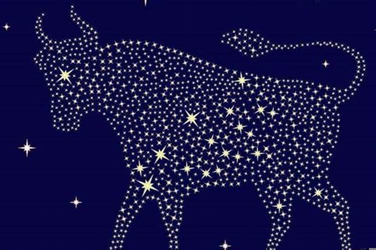 十二个星座谁最吸引谁