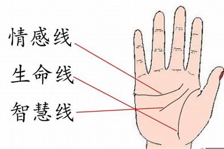 手相可以看出命运吗