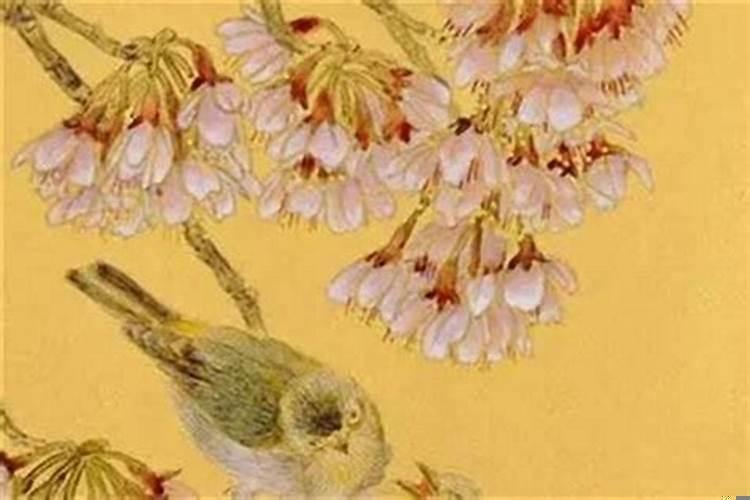 己巳大林木命理分析