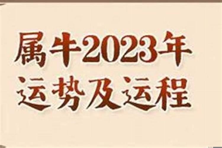 属牛97年2022年运势及运程