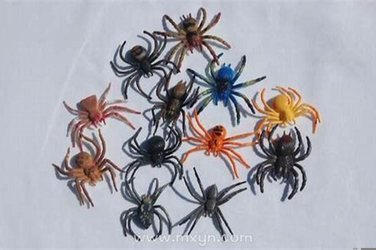 梦见好多蜘蛛是什么意思