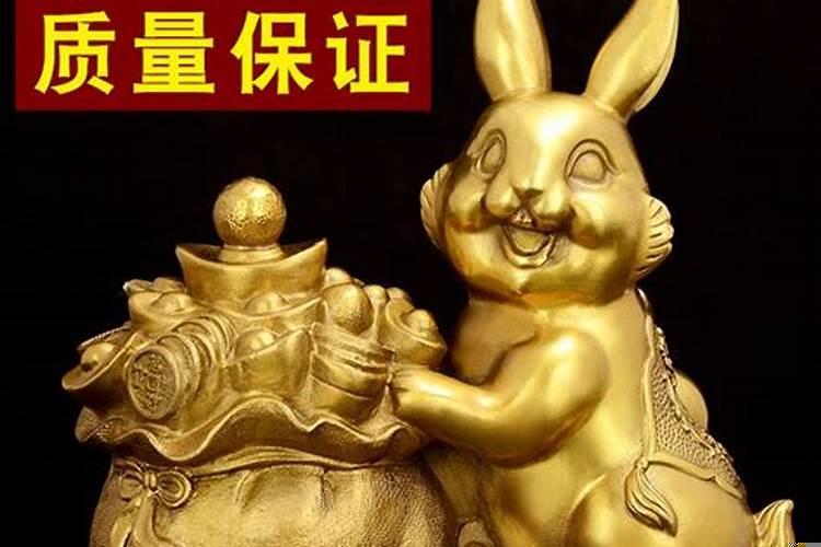 属兔适合摆放什么招财