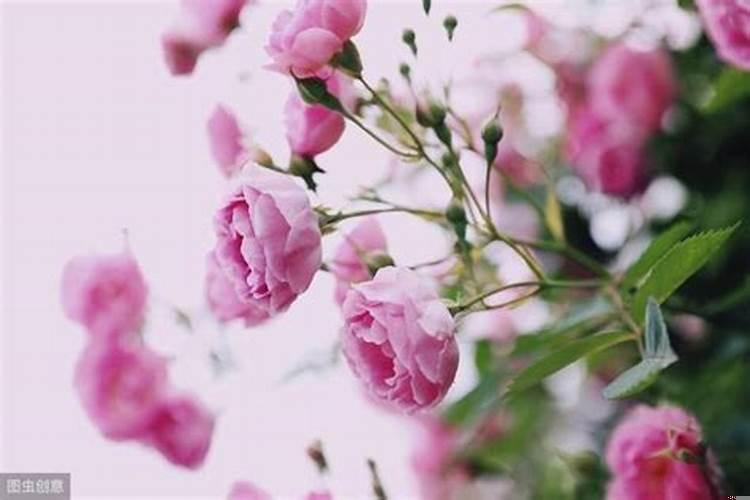 属鼠水瓶男性格分析