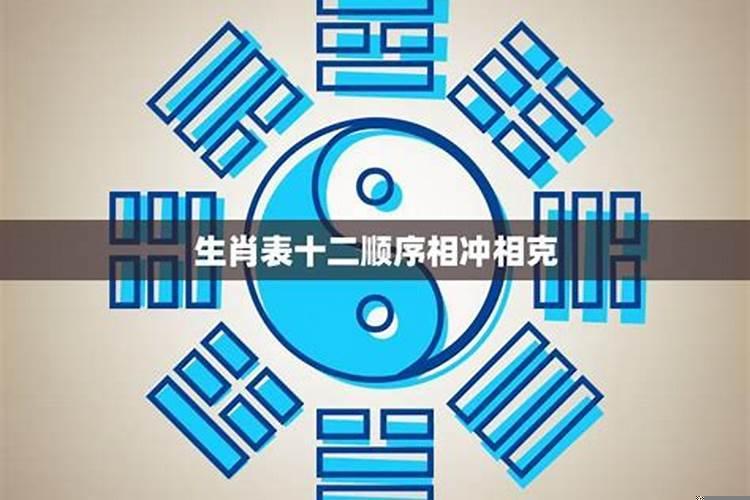 属猪和什么属相最合适最合财运的生肖