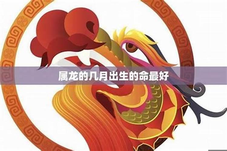 00年的龙往前多少年为马年