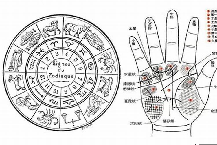 手相可以看出命运吗