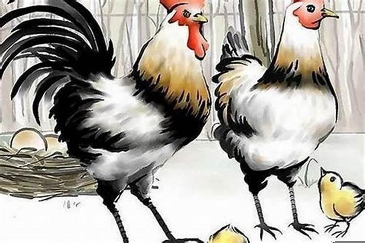 属鸡的适合佩戴什么属相