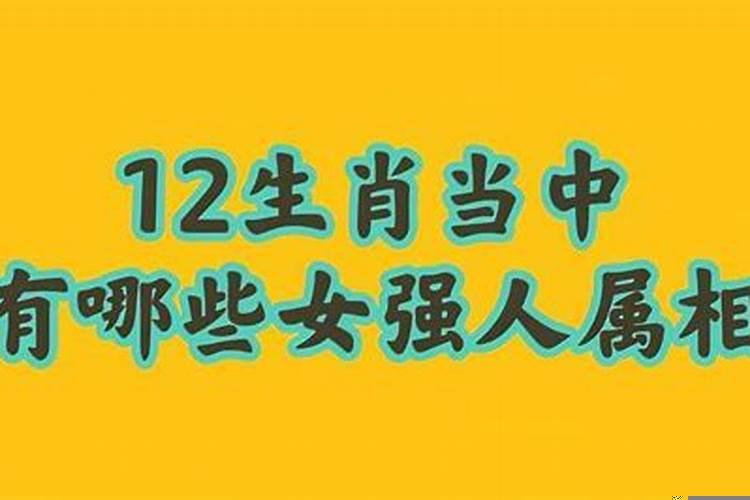 女强人属相