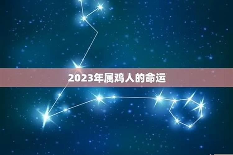 属鸡人在2017年的运程