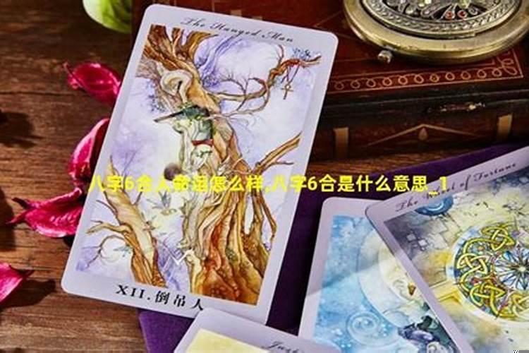 不是实行双重领导体制的有什么