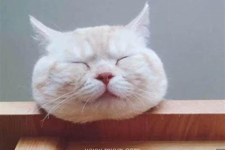 梦到自己睡醒了睁不开眼